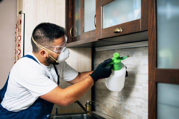 Best Best Pest Control Companies  in Eagle Grove, IA