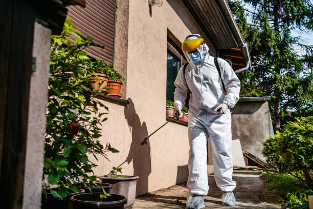 Pest Prevention Services in Eagle Grove, IA