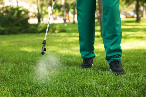 Best Exterminator Services  in Eagle Grove, IA