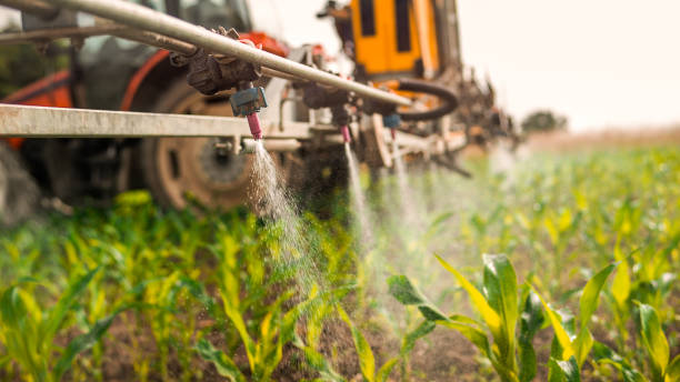 Best Pest Inspection Near Me  in Eagle Grove, IA